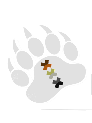 Amsterdam Bear Pride